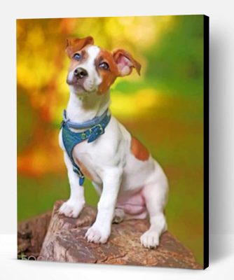 Jack Russell Animal Paint By Number