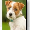 Jack Russell Dog Paint By Number