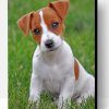 Jack Russell Paint By Number