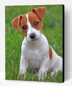Jack Russell Paint By Number