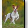 Jack Russell Terrier Paint By Number