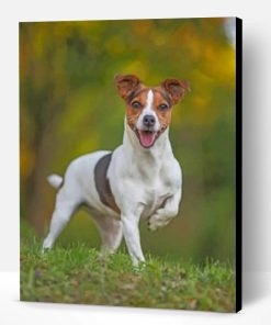 Jack Russell Terrier Paint By Number