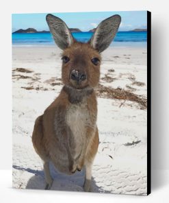 kangaroo In The Beach Paint By Number