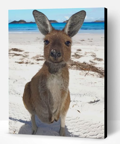 kangaroo In The Beach Paint By Number