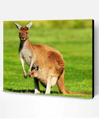 Kangaroo And Her Baby In Marsupium Pouch Paint By Number