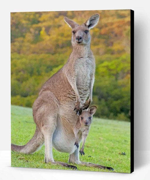 Kangaroos In Forest Paint By Number