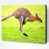 Kangaroo In Green Grass Paint By Number