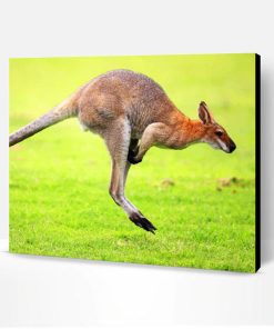 Kangaroo In Green Grass Paint By Number