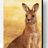 Kangaroo Paint By Number