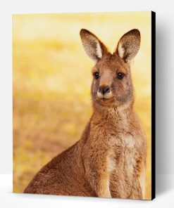 Kangaroo Paint By Number