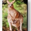 Kangaroo With Her Baby Paint By Number