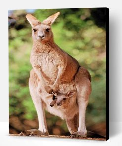 Kangaroo With Her Baby Paint By Number