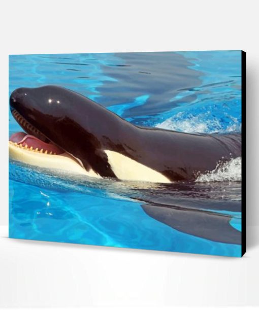 Killer Whale Paint By Number