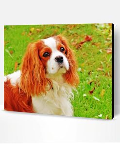 King Charles Cavalier Dog Paint By Number