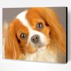 King Charles Cavalier Pet Paint By Number