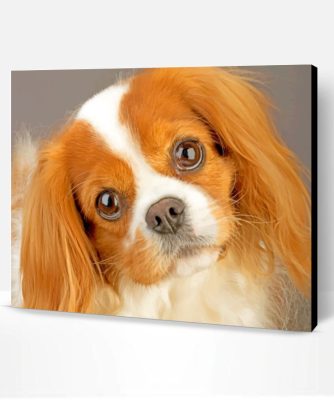 King Charles Cavalier Pet Paint By Number