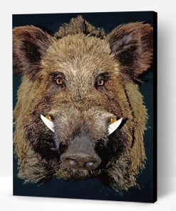 Little Boar Face Paint By Number