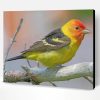 Little Western Tanager Bird Paint By Number
