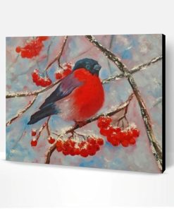 Lonely Bullfinch Paint By Number