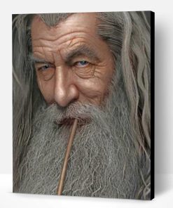 Lord Of The Rings Gandalf Paint By Number