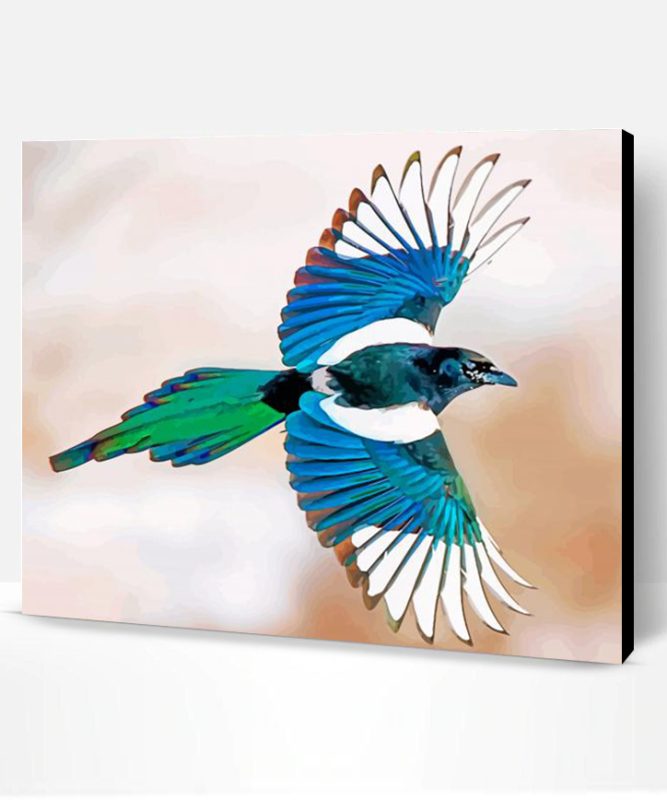 Magpie Bird Flying Paint By Number