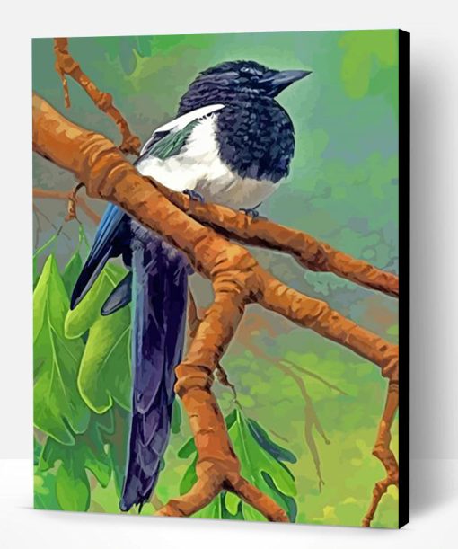 Magpie Bird On Stick Paint By Number