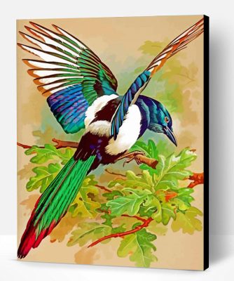 Magpie Bird Paint By Number