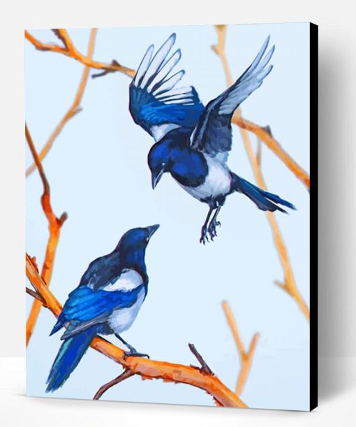 Magpie Birds Paint By Number