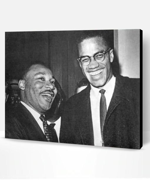 Martin Luther King And Malcolm X Paint By Number