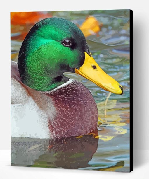 Mallard Duck Paint By Number