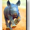 Baby Rhinoceros Paint By Number