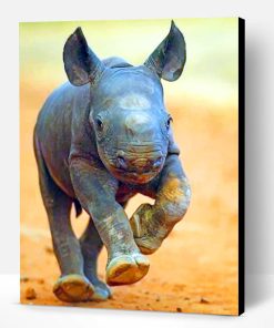 Baby Rhinoceros Paint By Number