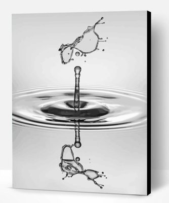 Monochrome Water Drop Paint By Number