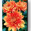 Orange Chrysanthemum Paint By Number