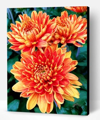 Orange Chrysanthemum Paint By Number