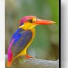 Oriental Dwarf Kingfisher Paint By Number