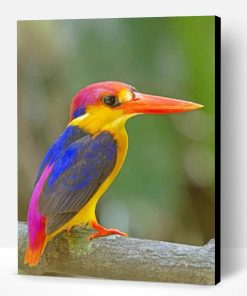 Oriental Dwarf Kingfisher Paint By Number