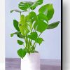 Aesthetic Philodendron Paint By Number