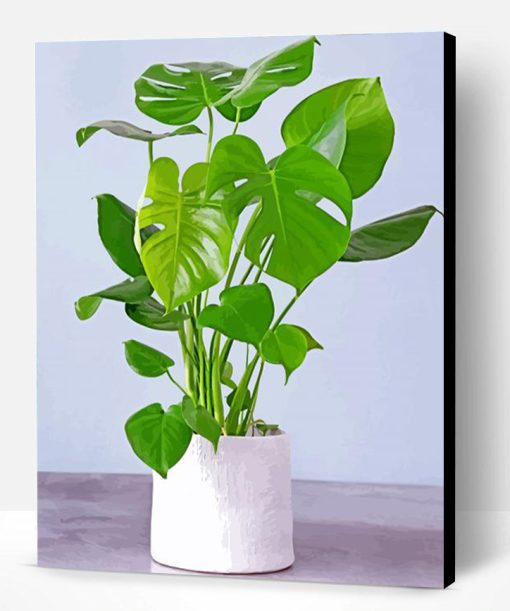 Aesthetic Philodendron Paint By Number