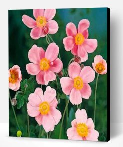 Pink Anemone Paint By Number