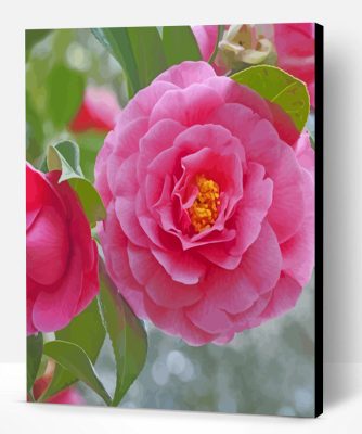 Pink Camellia Paint By Number