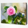 Pink Camellia Paint By Number