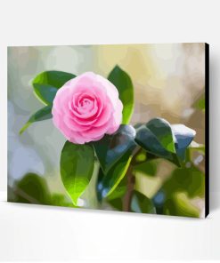 Pink Camellia Paint By Number