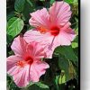 Pink Hibiscus Paint By Number