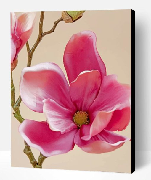 Pink Magnolia Paint By Number