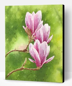 Pink Magnolias Paint By Number