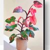 Pink Philodendron Paint By Number