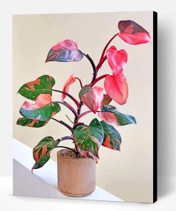 Pink Philodendron Paint By Number