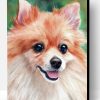 Pomeranian Dog Paint By Number