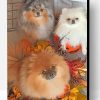 Pomeranian Dogs Paint By Number
